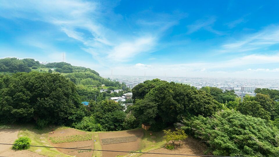 屋上からの風景